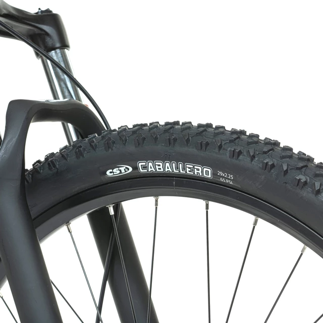 Horský elektrobicykel Levit Muan BF3 Overstep 630 29"