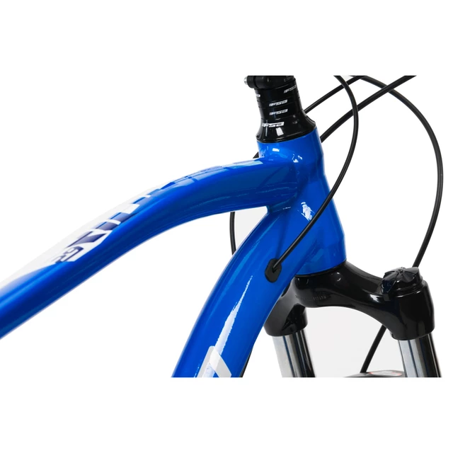 Horský bicykel Devron Riddle Man 2.9 29" 221RM - Black Matt