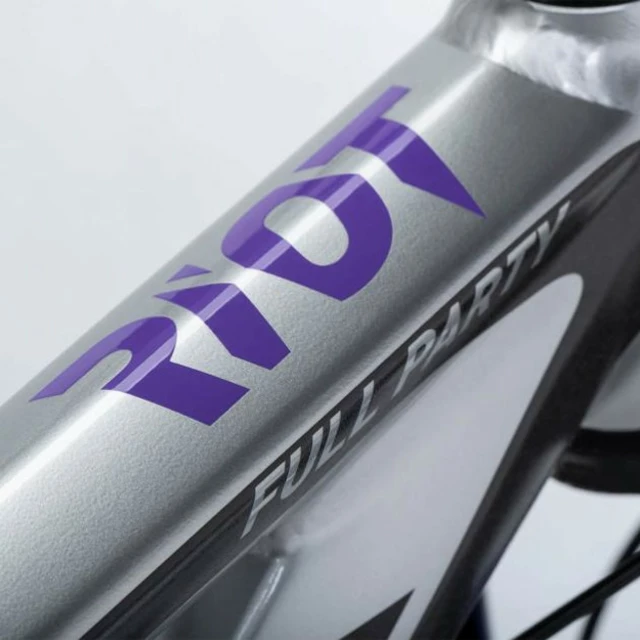 Celoodpružený bicykel Ghost Riot AM Full Party 29" Silver/Electric Purple