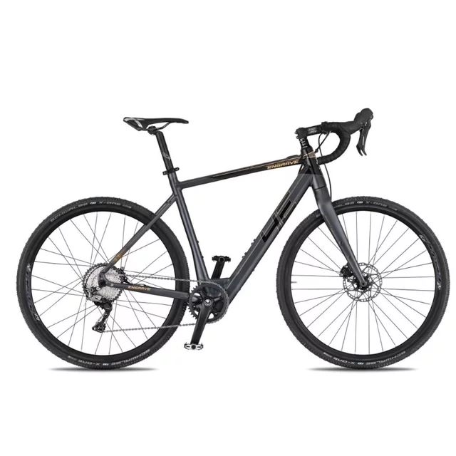 Gravel elektrobicykel 4EVER ENGRAVE PRO 28" - titan/hologram - titan/metal gold