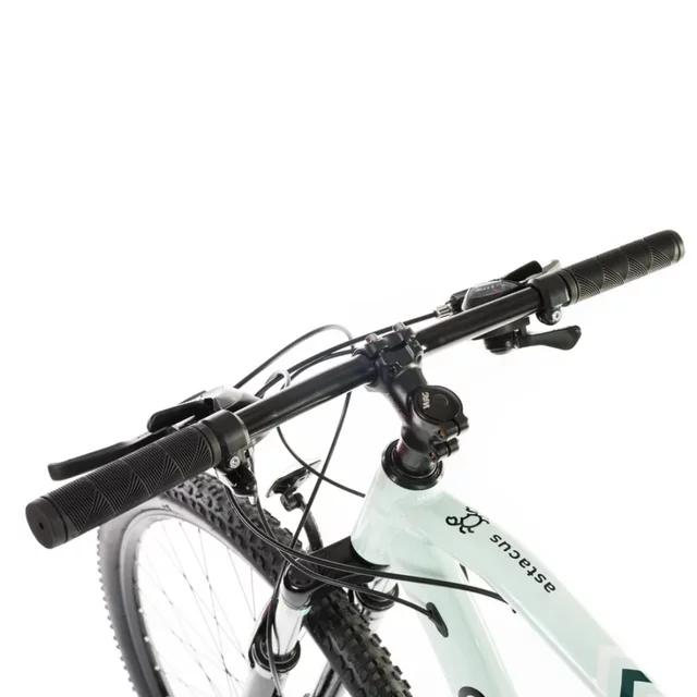 Pánsky horský bicykel Olpran ASTACUS Man 29"