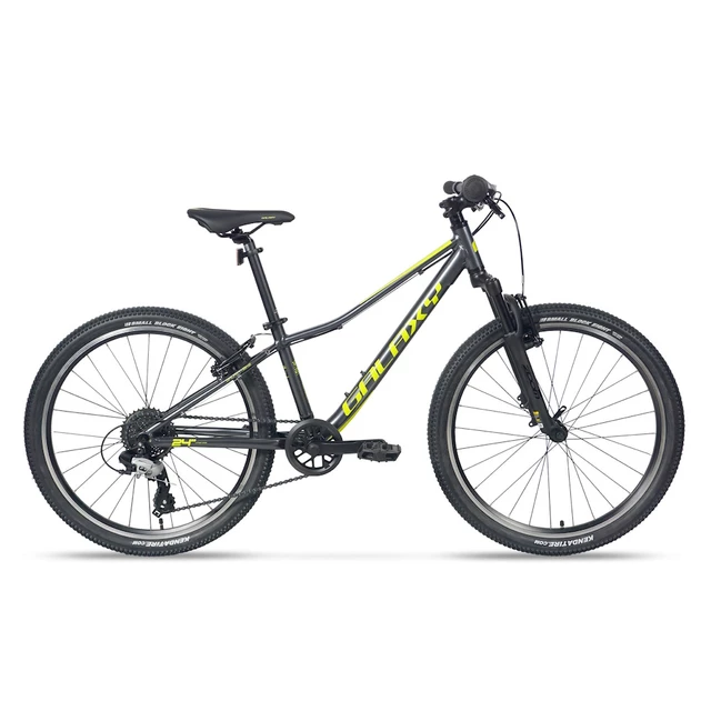 Juniorský horský bicykel Galaxy Pavo 24" 9.0 - strieborná