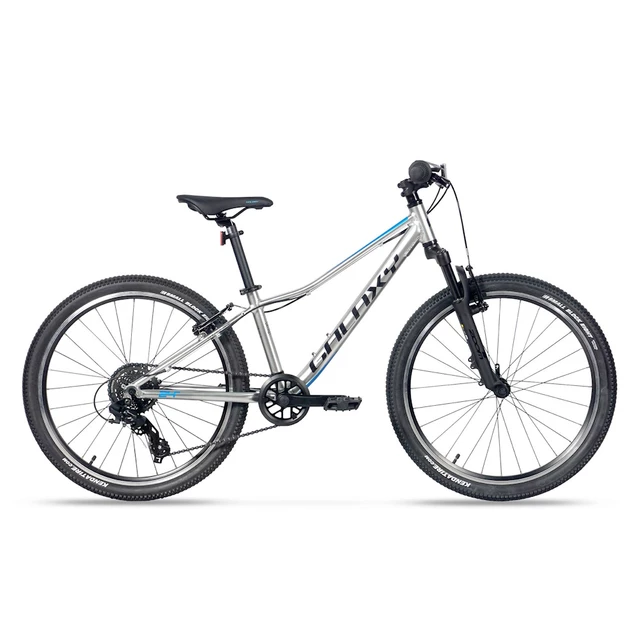 Juniorský horský bicykel Galaxy Pavo 24" 9.0 - strieborná - strieborná