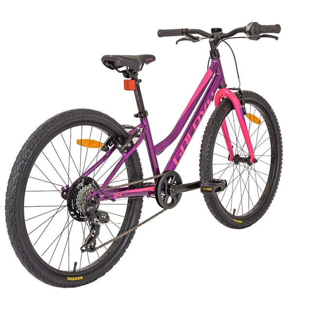 Juniorský dievčenský bicykel Galaxy Ruby 24" 9.0 - strieborná