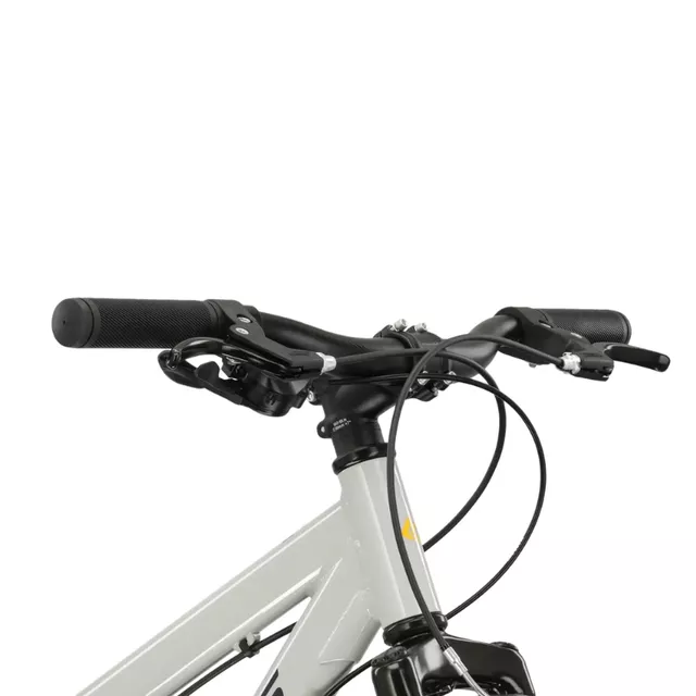 Juniorský bicykel Kross Dust JR 1.0 24" Gen 006 - šedá/čierna/lesk