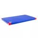Protišmyková gymnastická žinenka inSPORTline Anskida T60 200x120x10 cm - červená