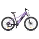 Juniorský elektrobicykel inSPORTline ISL Atezion 374 Wh 26" - model 2026 - Peach Beige - Majestic Purple