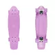 Pennyboard Big Fish 27" - grey/silver/summer purple