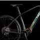 Horský elektrobicykel 4EVER Exstream Team 29" - Chameleon/Hologram