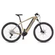 Horský elektrobicykel 4EVER Esword Elite M510 29" - Sky Blue/Hologram - Sand/Metal Silver