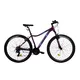 Dámsky horský bicykel DHS Terrana 2922 29" - model 2021 - Violet - Violet