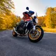 Moto košeľa BOS Lumberjack - Orange