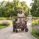 Skladací transportný vozík inSPORTline StrollKidz s možnosťou prepravy detí