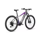 Horský elektrobicykel Crussis e-Fionna 9.10 900Wh 29" - model 2025