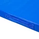 Gymnastická žinenka inSPORTline Gabyk T90 200x120x6 cm - modrá