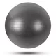 Gymnastická lopta inSPORTline Stretch Ball 65 cm - čierna - čierna