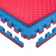 Puzzle tatami podložka inSPORTline Malmeida 100x100x4 cm - šedo-čierna, steblový vzor - červeno-modrá, vzor 5 prúžkov
