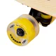 Svietiaci penny board WORKER Solosy C1 22"