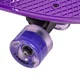 Penny board WORKER Aspy C2 22" so svietiacimi kolieskami