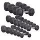 Šesťhranné činky inSPORTline Hexsteel 2-40 kg