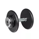 Jednoručné oceľové činky inSPORTline ProfiST 2,5-50 kg