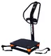 VibroGym inSPORTline Masay - výpredaj