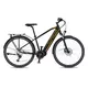 Trekingový elektrobicykel 4EVER Mercury Elite Trek - čierna/zlatá