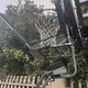 Zberač basketbalových lôpt inSPORTline Havaster