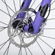 Celoodpružený bicykel Ghost Riot AM Full Party 29" Silver/Electric Purple