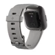 Inteligentné hodinky Fitbit Versa 2 Stone/Mist Grey