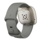 Inteligentné hodinky Fitbit Sense Sage Grey/Silver Stainless Steel