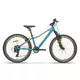 Juniorský horský bicykel Galaxy Pavo 24" 9.0 - strieborná