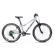 Juniorský horský bicykel Galaxy Pavo 24" 9.0 - strieborná - strieborná
