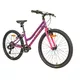 Juniorský dievčenský bicykel Galaxy Ruby 24" 9.0 - strieborná