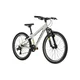 Juniorský bicykel Kross Dust JR 1.0 24" Gen 006 - šedá/čierna/lesk